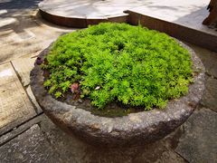 -丝绸小镇荻港古村