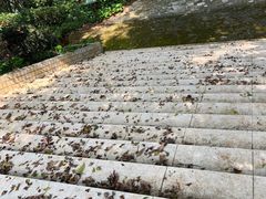 -广垦（茂名）国家热带农业公园