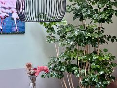 -DK45丹麦家居生活馆·依诺维绅(798店)