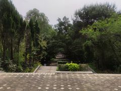 -三水森林公园
