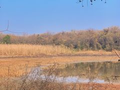 -盘龙城国家考古遗址公园