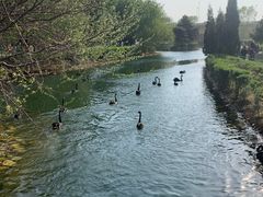 -长白岛森林公园