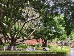 -厦门大学(思明校区)