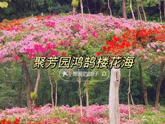 -海心沙亚运公园