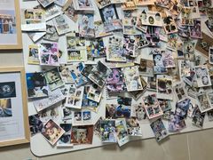 -半岛宠物医院24小时·内窥镜·牙科·碎石中心(府城大道店)
