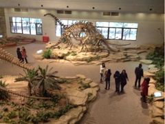 -自贡恐龙博物馆