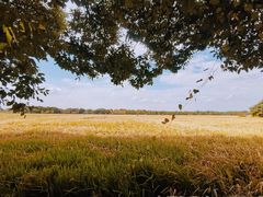 -嘉北郊野公园