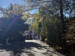 -天龙八部武侠城