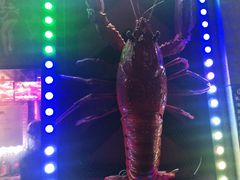 -红钳侠小龙虾·烧烤(中赢康康谷店)