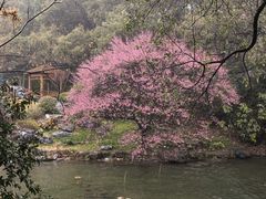 -中国茶叶博物馆(双峰馆区)