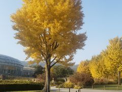 -国家植物园南园