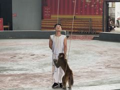 -石家庄市动物园