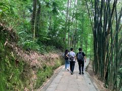 -凤栖山