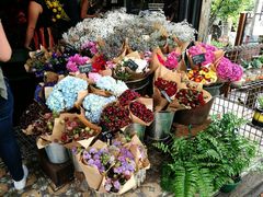 花店-The Grounds of Alexandria