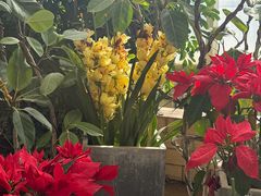 -石家庄市植物园