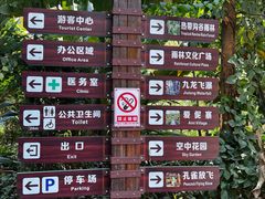 -西双版纳原始森林公园