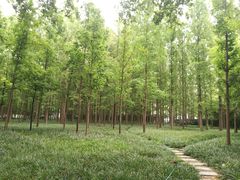 -河南省黄河迎宾馆
