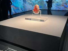 -北京大葆台遗址博物馆