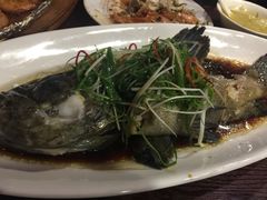 -梧桐餐厅(泉城路店)