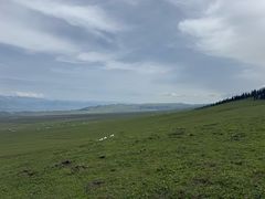 -新疆那拉提国家旅游度假区