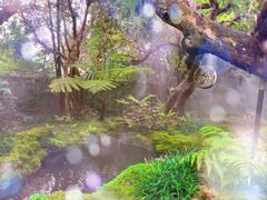 -Chom Cafe and Restaurant