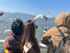 -滇池海埂公园