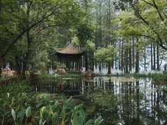 -东湖落雁景区