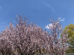 -羊亭河湿地公园