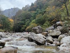 -陕西省红河谷森林公园