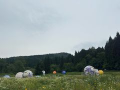 -武陵山森林公园