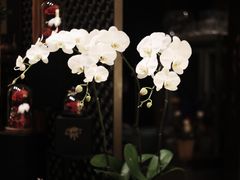 -深圳隐秀山居酒店