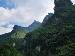 -武陵山森林公园