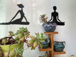 -亚太瑜伽普拉提学院