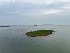 -苏州太湖湖滨国家湿地公园