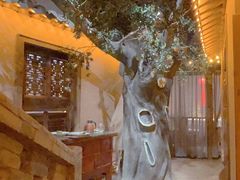 -叶叶菩提·晋福宫