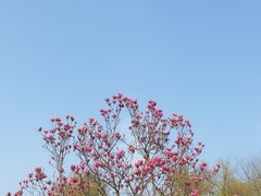 -杭州西子湖四季酒店-WL BISTRO西湖餐厅(灵隐路店)