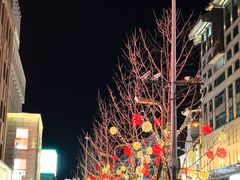 -小大董·烤鸭(王府井apm店)
