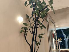 -小团圆糖水铺(襄阳南路店)