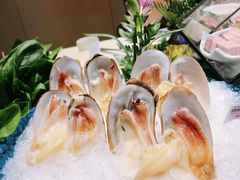 象拔蚌刺身-德米火锅(深圳湾1号旗舰店)