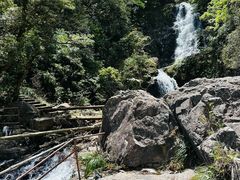 -旗山国家森林公园