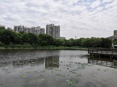 -新江湾城公园