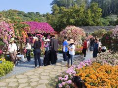 -东莞植物园