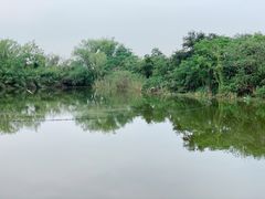 -木守西溪溪隐餐厅