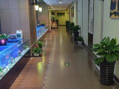 -颐信康足道spa采耳养生馆
