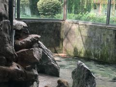 -水绘园