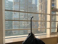 -成都世纪城假日酒店-西楼