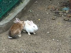 -香宫中餐厅 · 桂林香格里拉