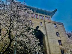 -武汉大学-樱园