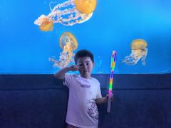 -太平洋海底世界