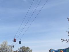 -上海海昌海洋公园